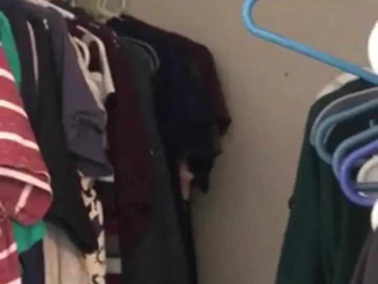 Large closet in back bedroom