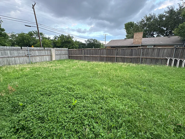 back yard
