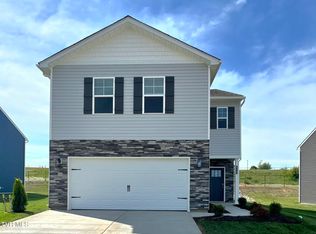 213 Artist Ave, Johnson City, TN 37615
