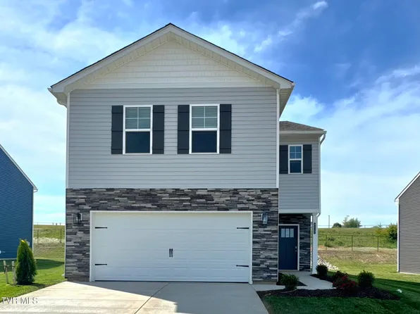 213 Artist Ave, Johnson City, TN 37615