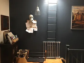 Rented by Dallien Realty Limited Liability Company