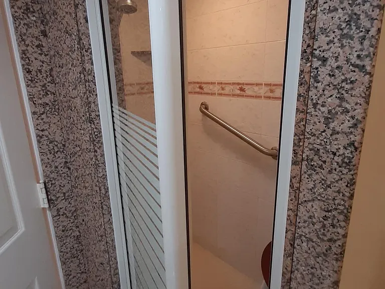 Master Bathroom Shower