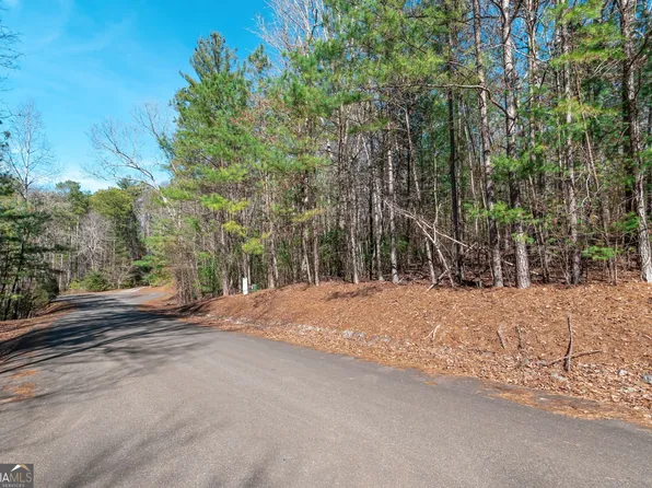 138 Quail Run Ct, Talking Rock, GA 30175