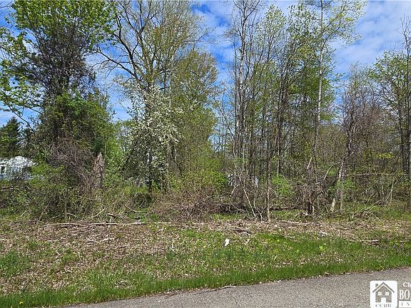 3rd image of Monroe Ave Lot 27