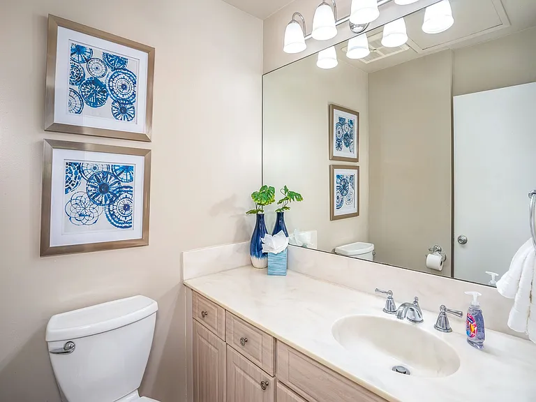 Wailea Ekolu Pl — Photo 20