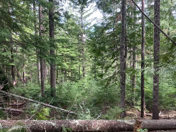 937 Alpine Dr, Fernwood, ID 83830