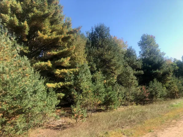 Norconk Rd, Bear Lake, MI 49614