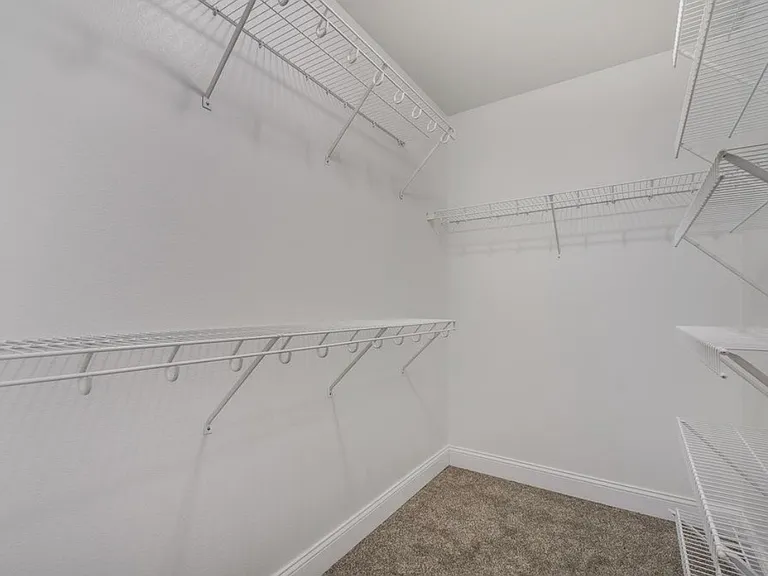 Primary Walk-In Closet