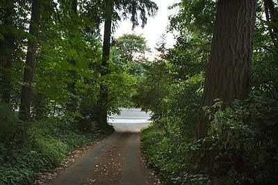 Looking down the driveway