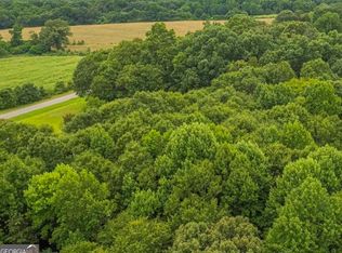 2 Rock Pillar Rd, Carnesville, GA 30521