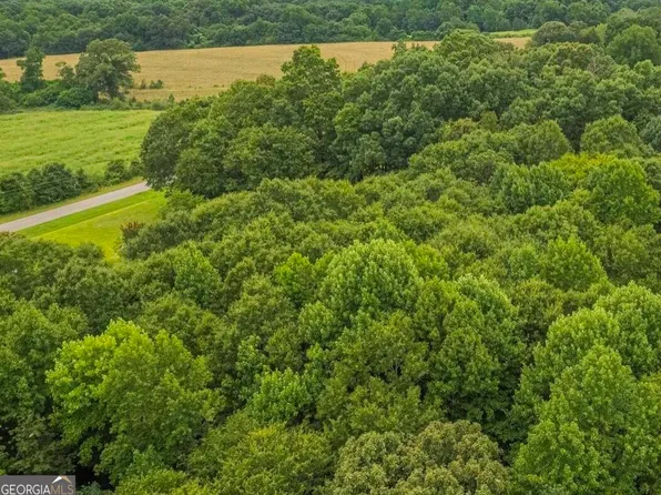 2 Rock Pillar Rd, Carnesville, GA 30521