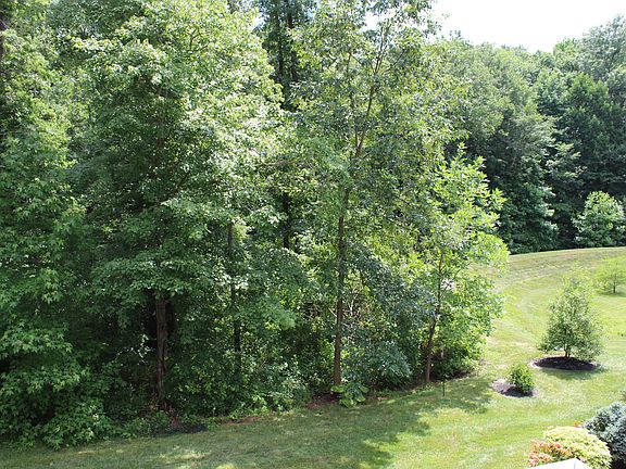 3rd image of 104 Briarcreek Ct