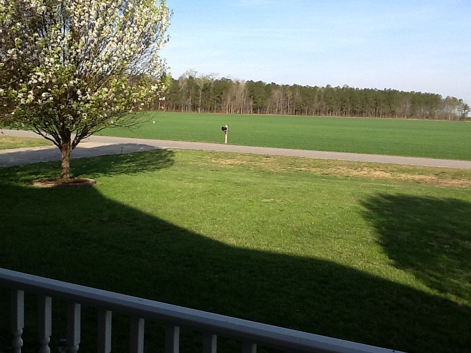 174 Pudding Ridge Rd, South Mills, NC 27976 Zillow