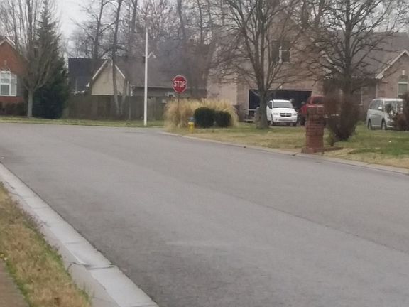 4th image of 719 Shady Grove Dr