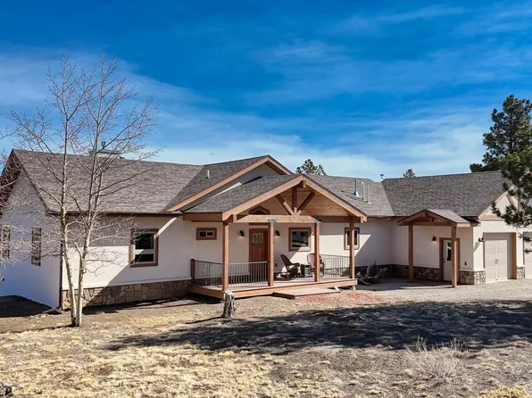 3561 Singletree Road, Hartsel, CO 80449