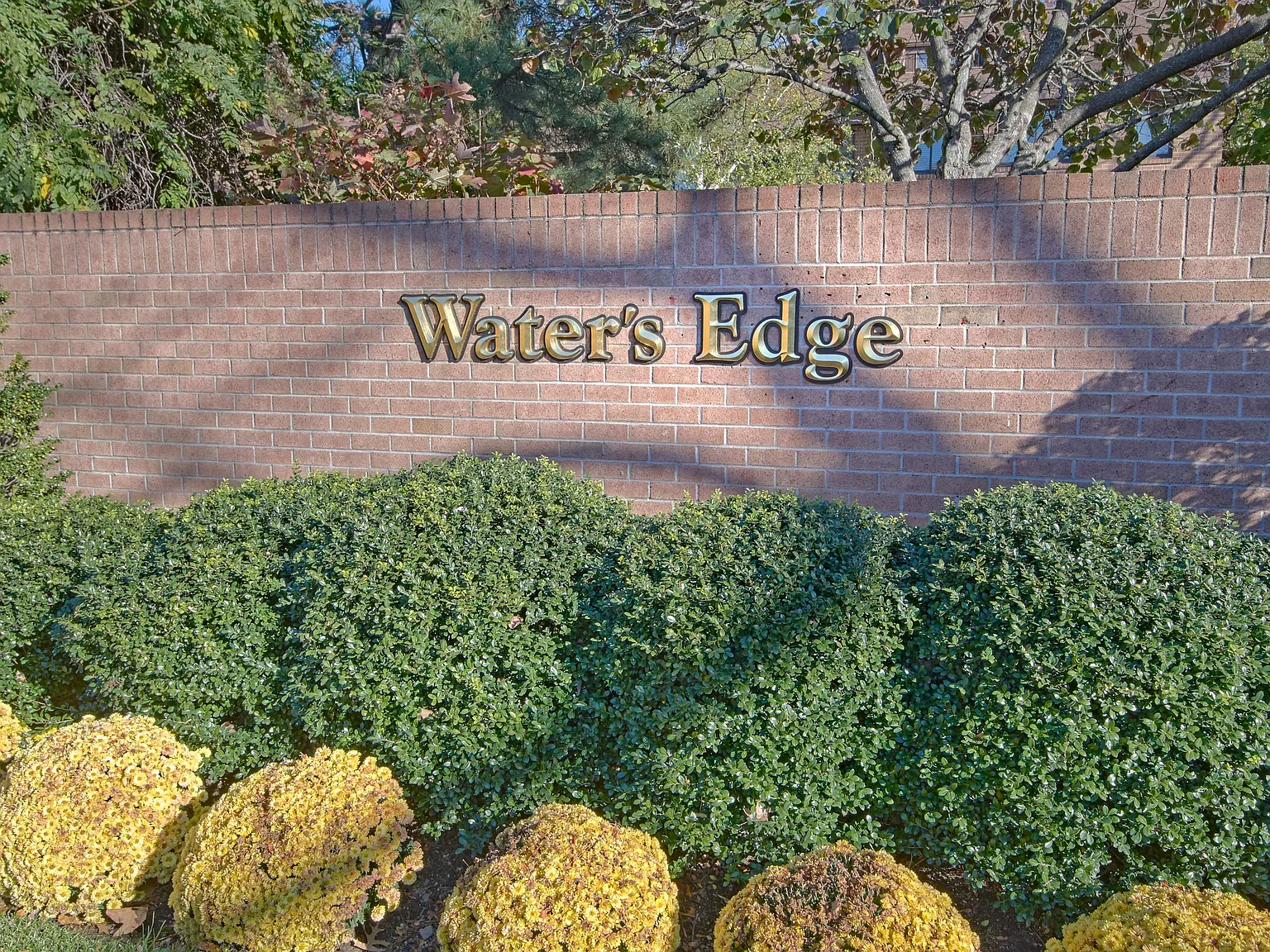 2 bed, 1.0 bath, 1398 sqft, $7,000 — Photo 2
