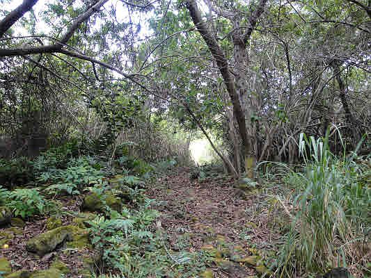 2nd image of 76-823 Hualalai Rd Lot 2