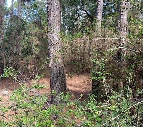 5th image of LOT 93 Papawai Dr