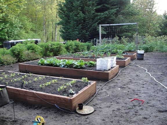 raised garden beds