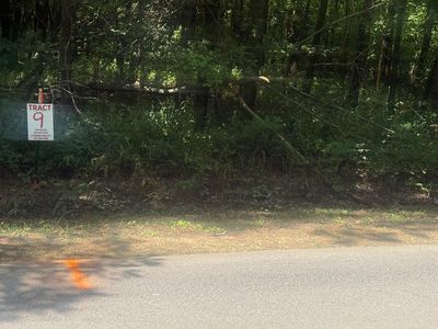 TRACT Eight Coffee Landing Rd, Savannah, TN, 38372