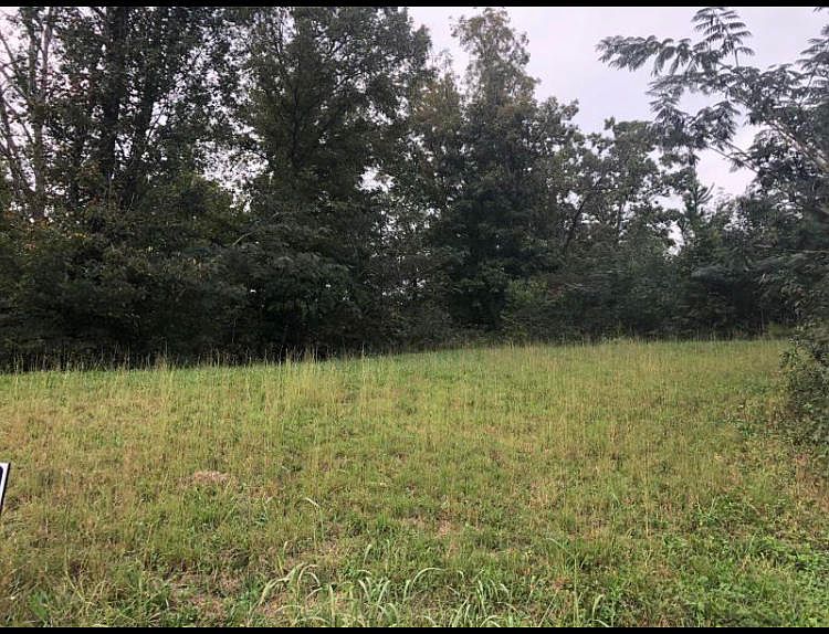 2nd image of 1033 Crown Ridge Ln
