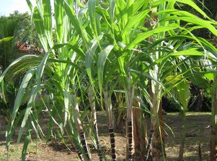 Hotel For Investment Ometepe Isla #33147, Miami, FL 33147