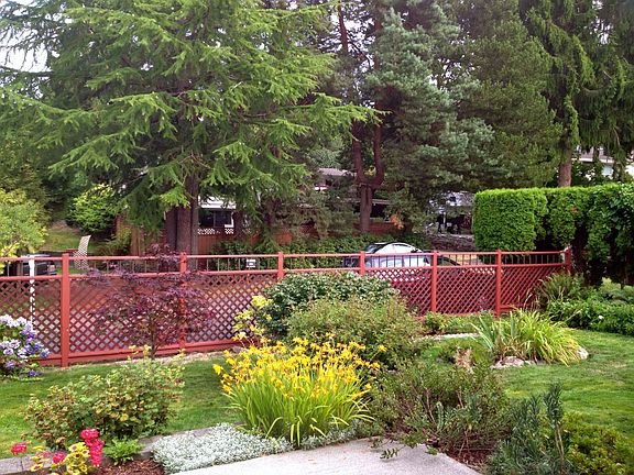 Front yard