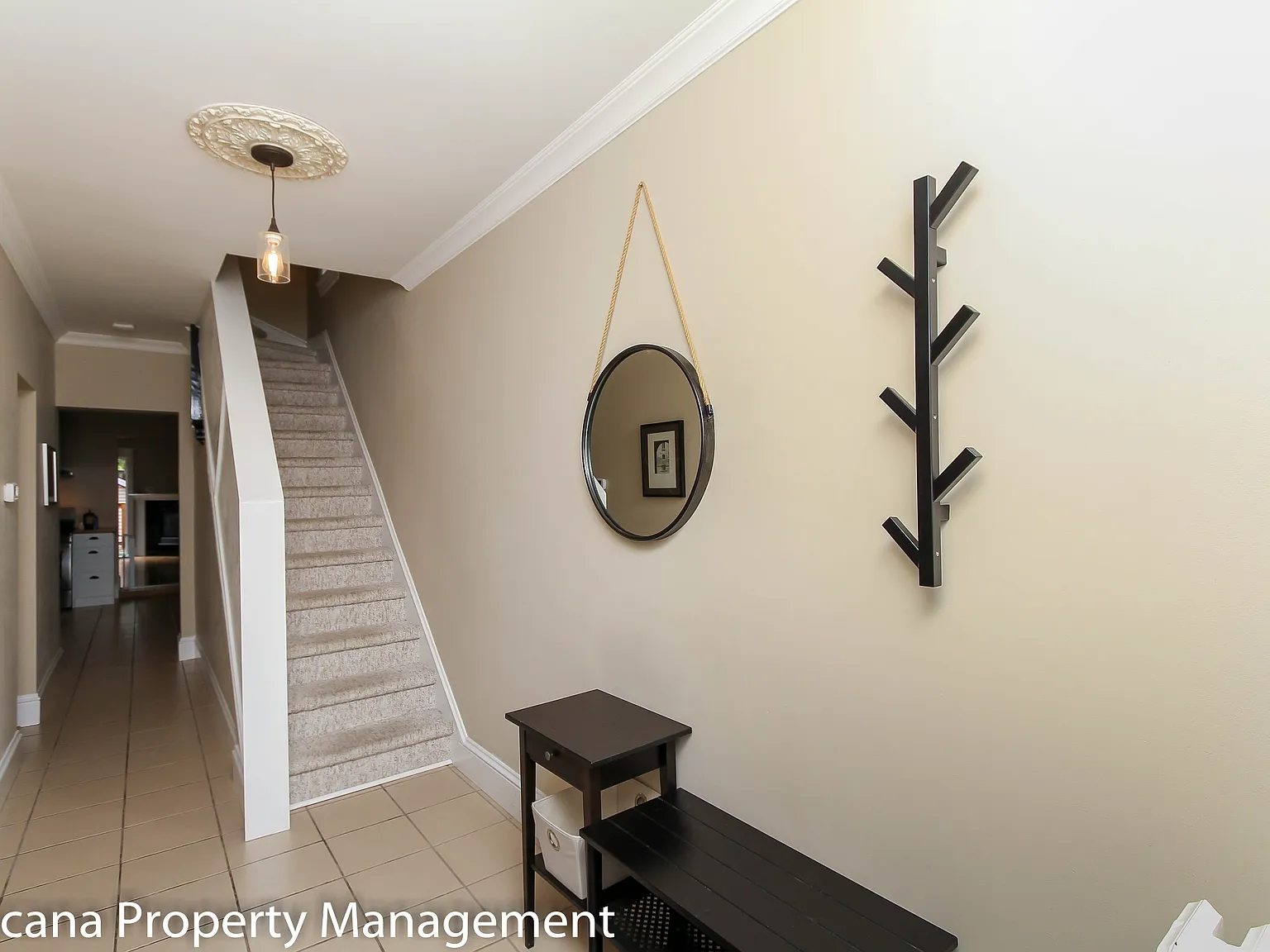 294 Crichton Street - 1 — Photo 4