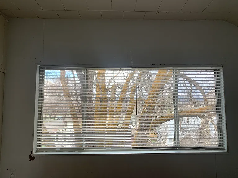 Third Avenue Apartments — Photo 15