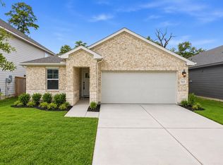16221 Parish Pointe Ct, Conroe, TX 77302