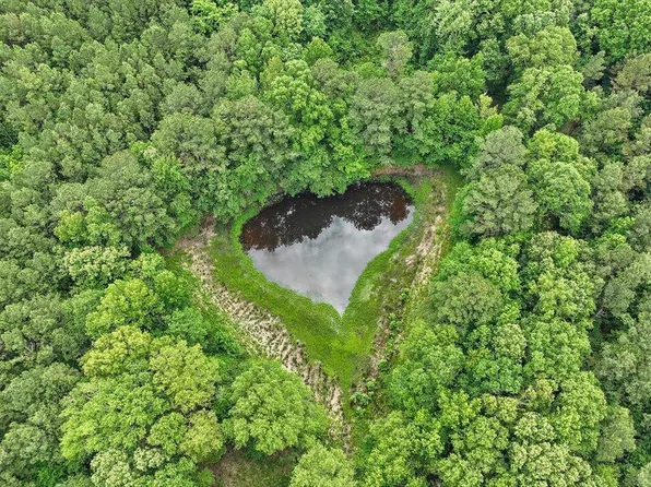 2491 Highway 483 N, Morton, MS 39117