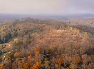 0 Mill Iron Rd, Goodview, VA 24095