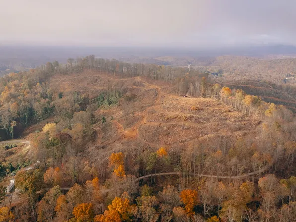 0 Mill Iron Rd, Goodview, VA 24095