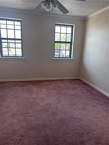 4213 Paradis Ln — Photo 6