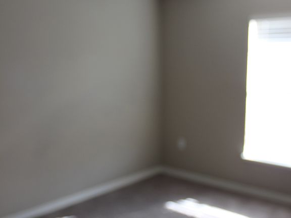 3rd image of 9865 Ashburn Lake Dr