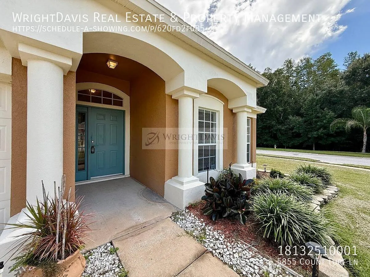 Cozy 3/2 Home in Wesley Chapel — Photo 4