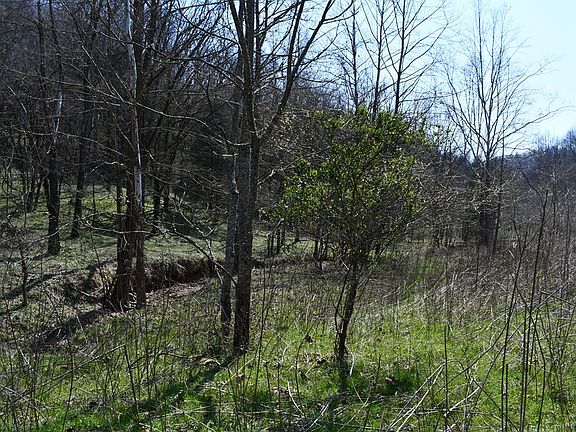 2nd image of Tick Ridge Rd