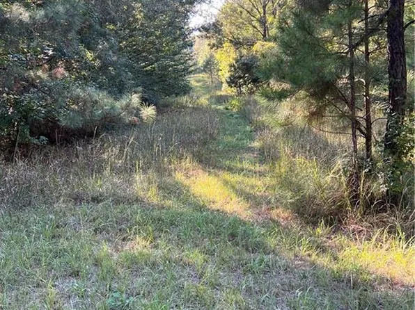 75-85 Williford Rd, Ball, LA 71405