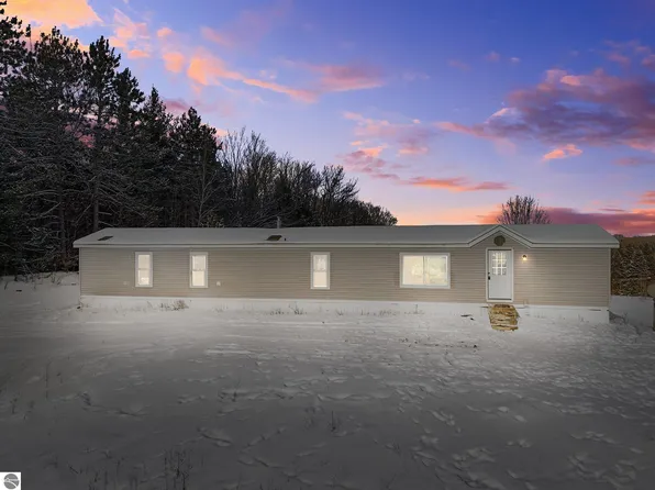 3529 E 16th Rd, Manton, MI 49663