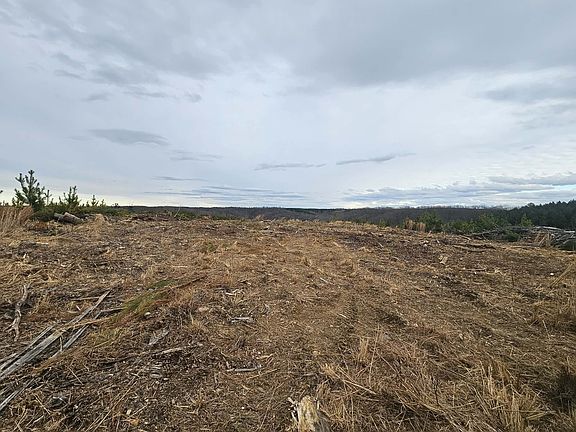 4th image of 0B Waynesboro Hwy