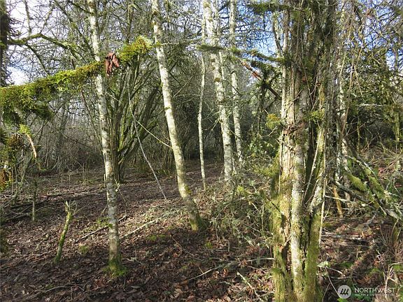 4th image of 4223 Johnson Point Road NE