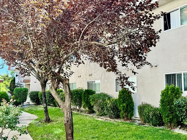 Sherwood Forest Apartments — Photo 42