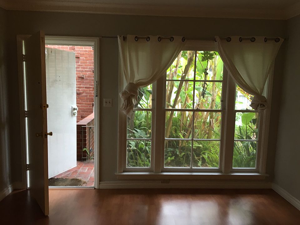 Living Room Window