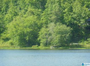 1 Lakeview Dr, Oneonta, AL 35121
