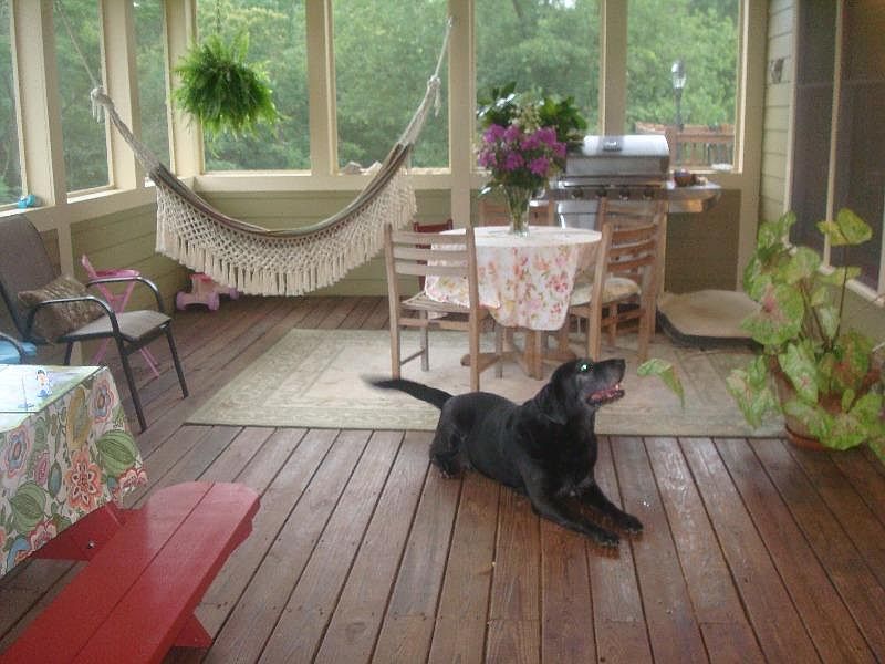 Large screened porch with ceiling fans