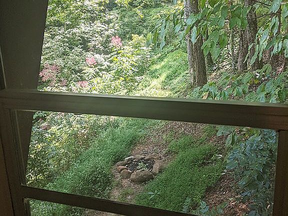 Kitchen Window View out