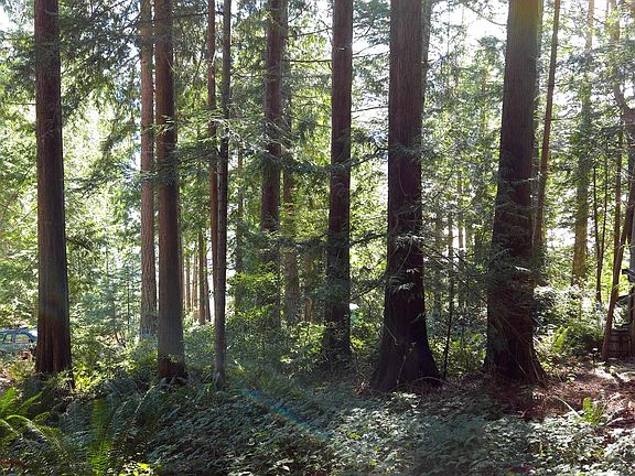 4th image of LOT 5 Gavin Rd