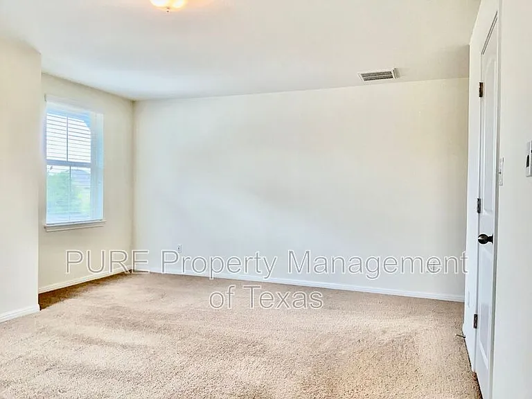 417 Cinnamon Teal Ln — Photo 9