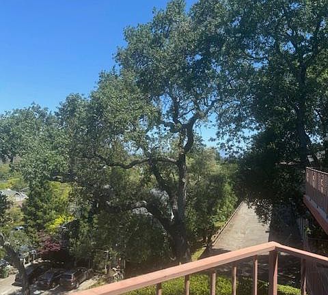 Look to the north for peeks of SF Bay between the oak branches