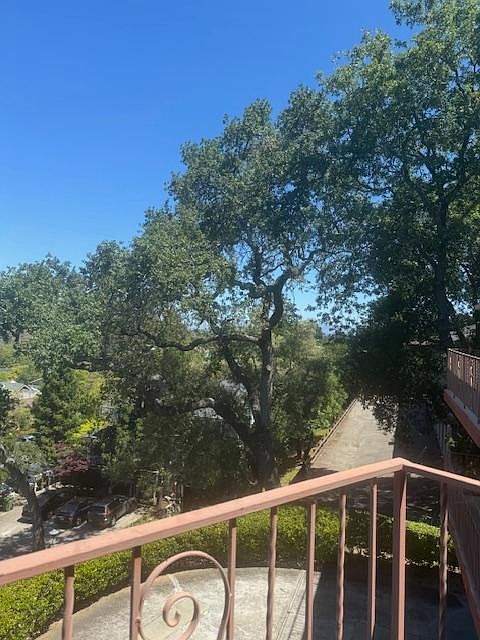 Look to the north for peeks of SF Bay between the oak branches